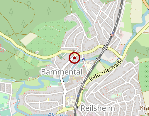 Position: Buchhandlung Staiger