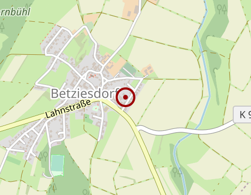 Position: Lenis Buchladen