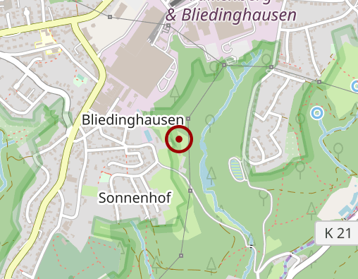 Position: Presse + Buch