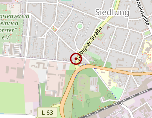 Position: Dessauer Büchermeile Carina Schwarze