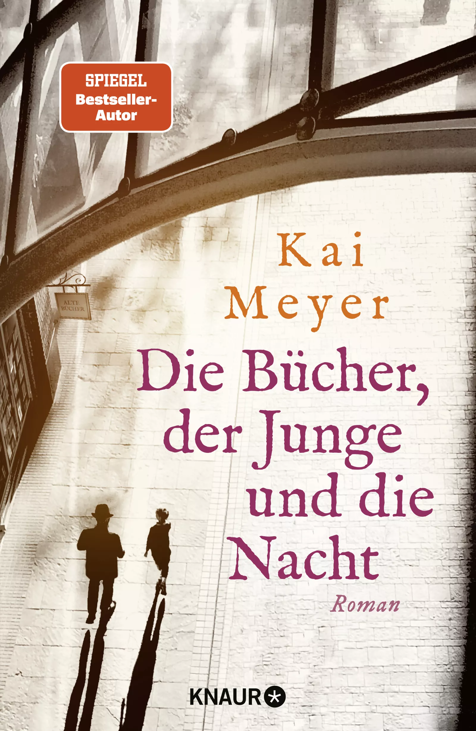 Cover: Die Bücher, der Junge und die Nacht