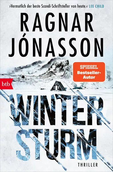 Cover: Wintersturm