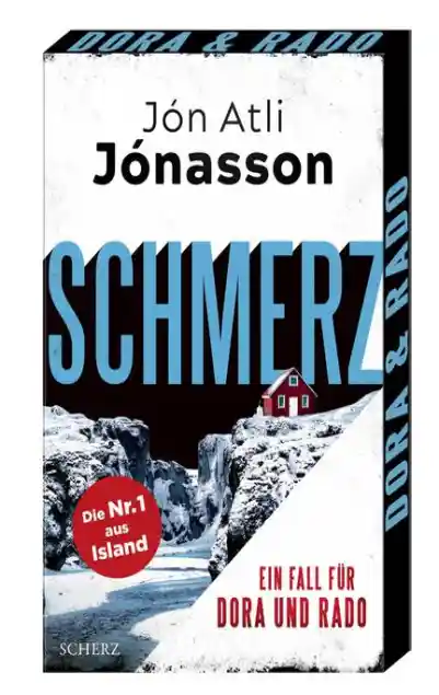 Cover: Schmerz