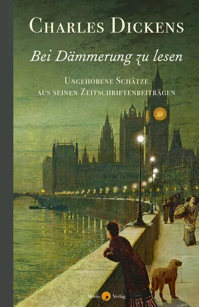 Cover: Bei Dämmerung zu lesen