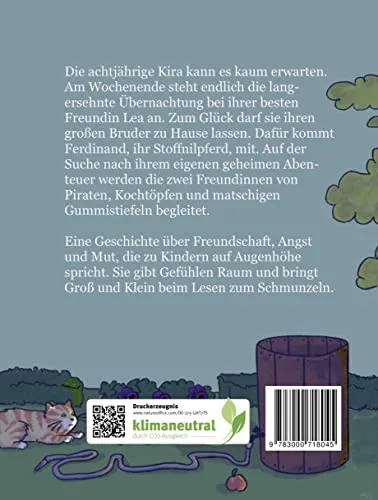 Cover: Kira und der geheime Schatz