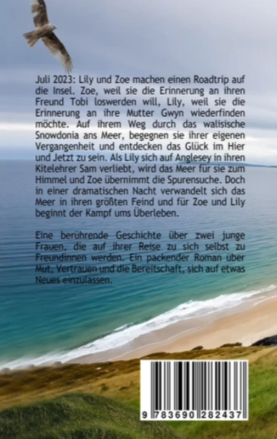 Cover: Im Meer der Himmel