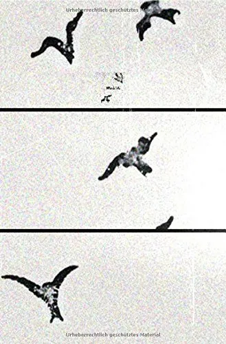 Cover: Schwalbenhimmel