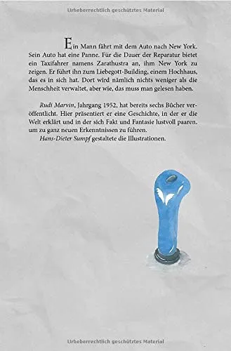 Cover: Das Liebegott-Projekt