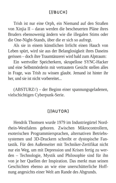 Cover: IRRLICHT 1: Absturz