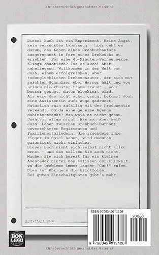 Cover: Script to Screen - Ein Drehbuch fürs Kopfkino