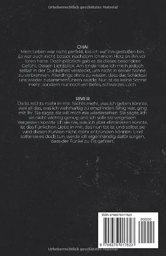 Cover: Voodoo Saints: Sins of Soul (Dark Romance, Band 6)