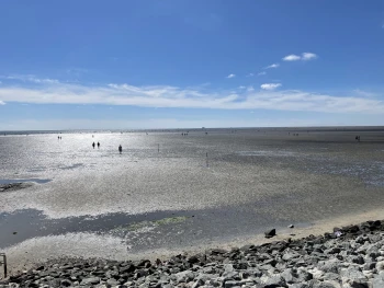 Autor: Belnord, Beeke