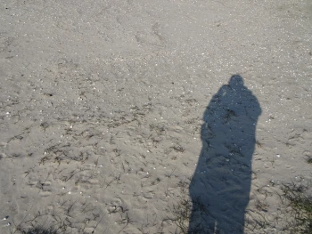 Logo: Corlys Lesewelt