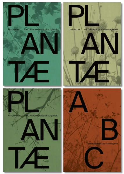 Plantae