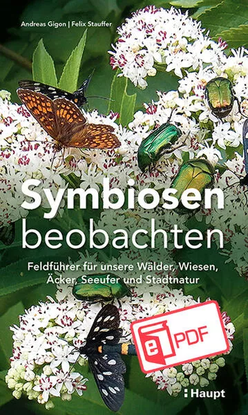 Symbiosen beobachten