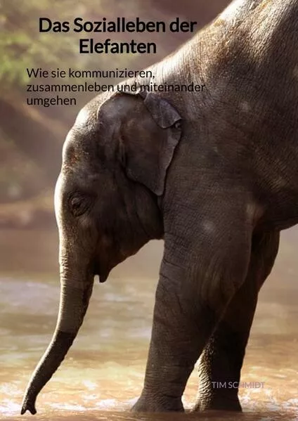 Das Sozialleben der Elefanten