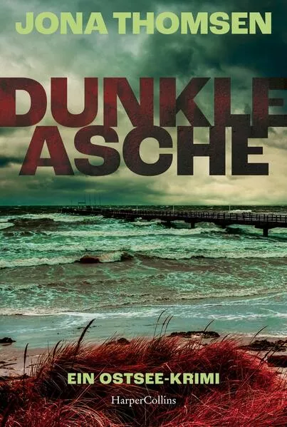 Cover: Dunkle Asche