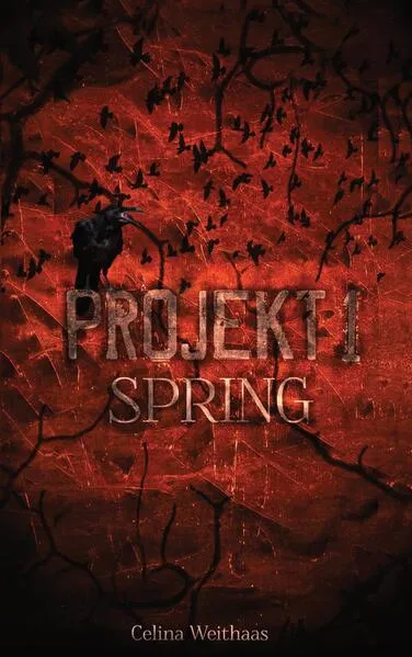 Spring - Projekt I