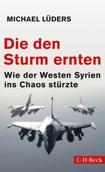 Cover: Die den Sturm ernten