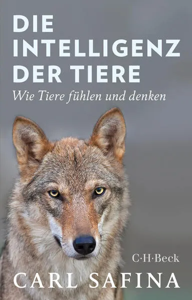Cover: Die Intelligenz der Tiere