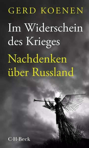 Cover: Im Widerschein des Krieges