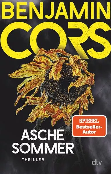 Cover: Aschesommer