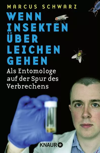 Wenn Insekten über Leichen gehen