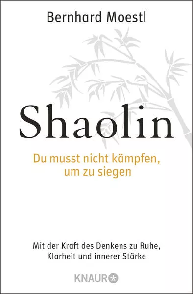 Shaolin - Du musst nicht kämpfen, um zu siegen!