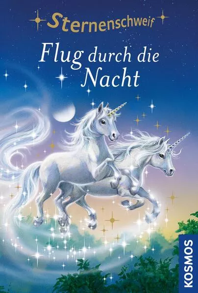 Cover: Sternenschweif, 9, Flug durch die Nacht