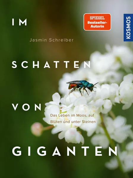 Cover: Im Schatten von Giganten