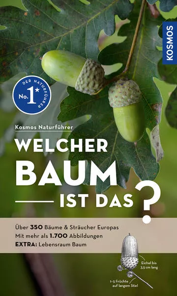 Welcher Baum ist das?