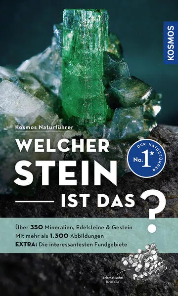 Cover: Welcher Stein ist das?