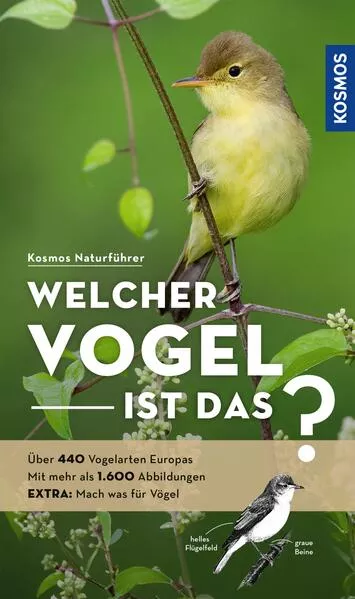 Welcher Vogel ist das?