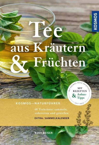 Tee aus Kräutern und Früchten