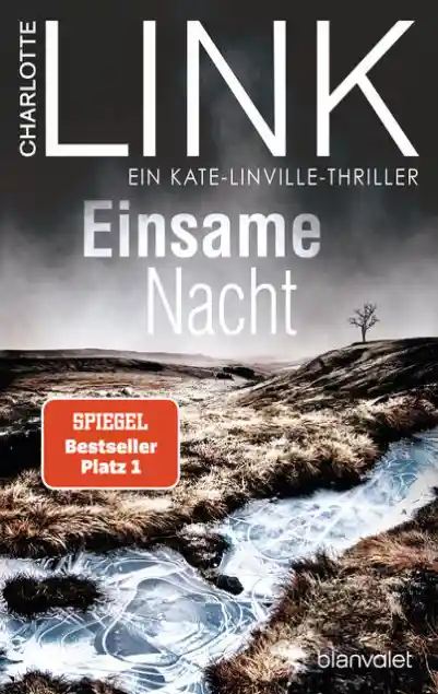 Cover: Einsame Nacht