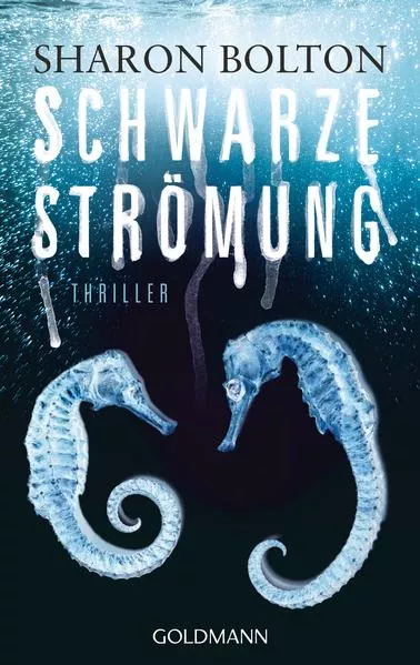 Schwarze Strömung - Lacey Flint 4
