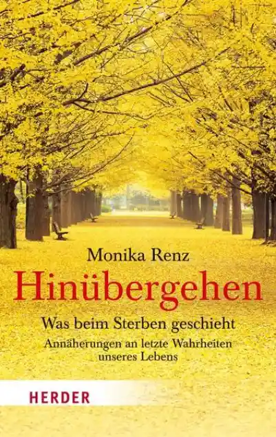 Cover: Hinübergehen