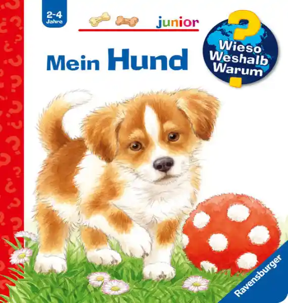 Wieso? Weshalb? Warum? junior, Band 41: Mein Hund