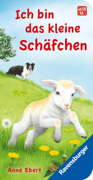Ich bin das kleine Schäfchen