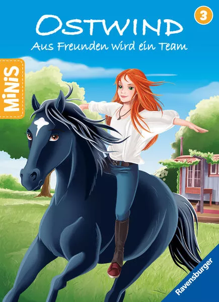 Cover: Ravensburger Minis: Aus Freunden wird ein Team
