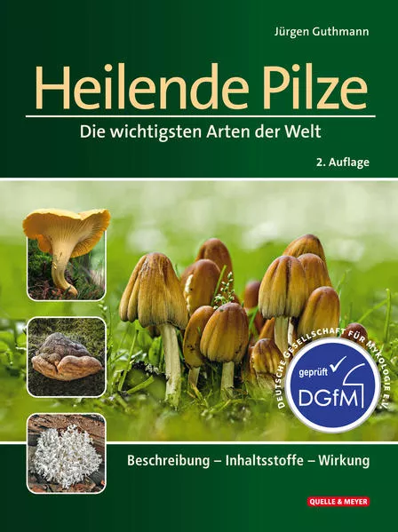 Heilende Pilze