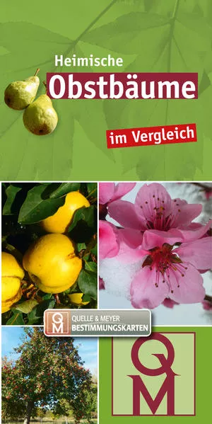 Heimische Obstbäume
