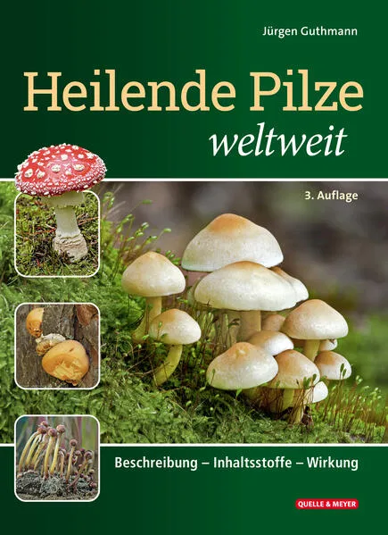 Heilende Pilze