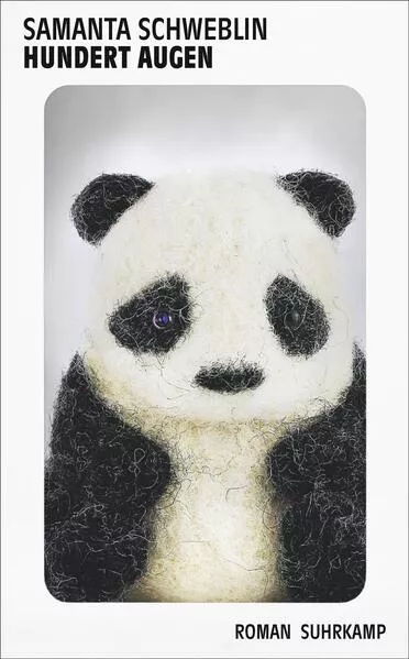 Cover: Hundert Augen