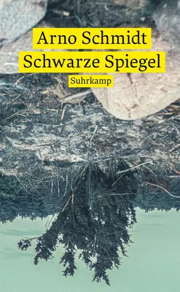 Cover: Schwarze Spiegel