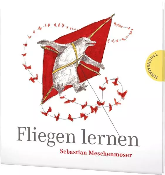 Fliegen lernen