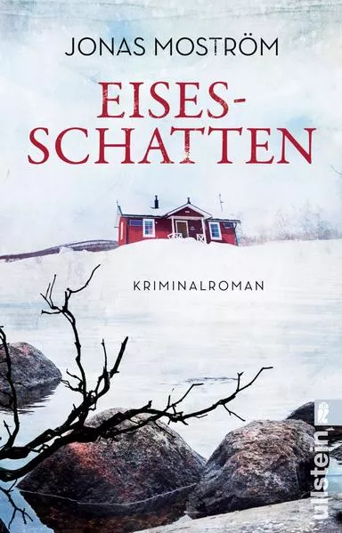 Eisesschatten (Ein Nathalie-Svensson-Krimi 5)