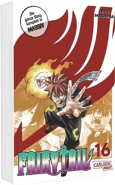 Fairy Tail Massiv 16