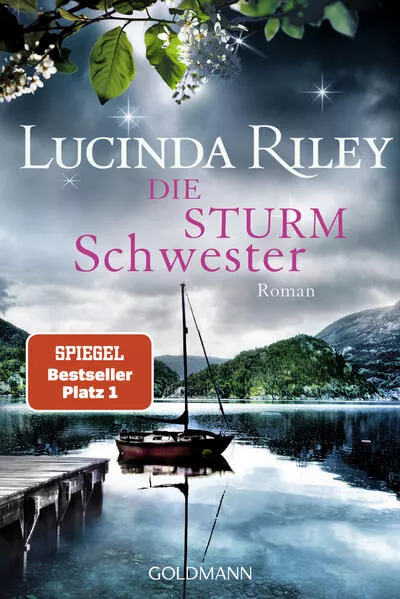 Cover: Die Sturmschwester
