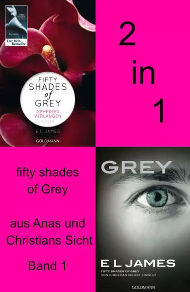 Cover: 2in1 Fifty Shades of Grey aus Anas und Christians Sicht